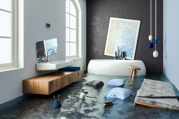 Best Mold removal after water damage  in Mayville, ND