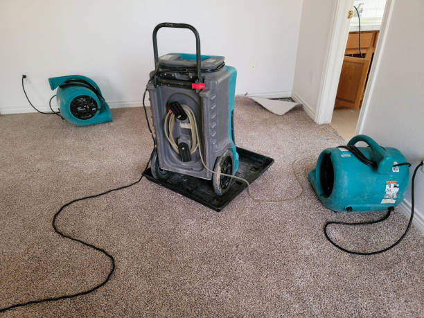Best Emergency water damage restoration  in Mayville, ND