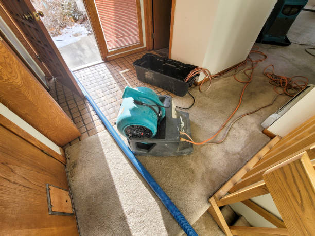 Best Water damage restoration insurance claims  in Mayville, ND