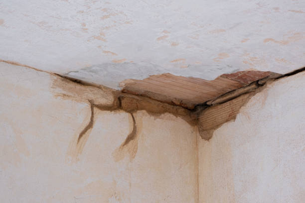  Mayville, ND Water damage restoration Pros