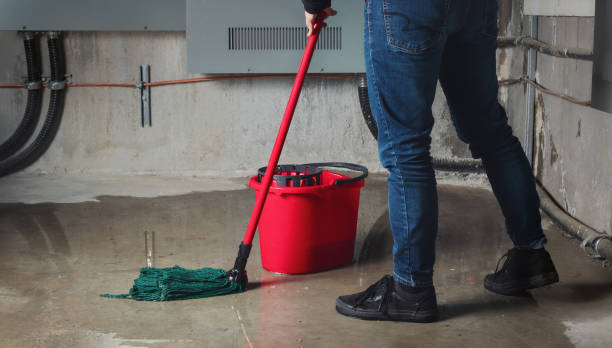 Best 24-hour water damage restoration  in Mayville, ND